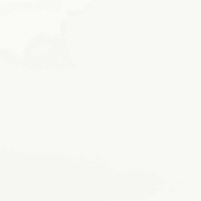 Retro Oval 60-inch Wood Top Dining Table White and Chrome