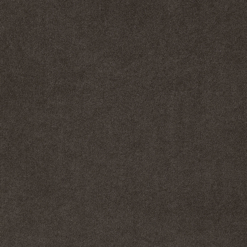 Alana Fabric Upholstered Dining Side Chair (Set of 2)