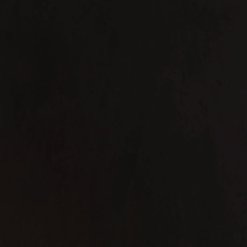 Alana Fabric Upholstered Dining Side Chair (Set of 2)