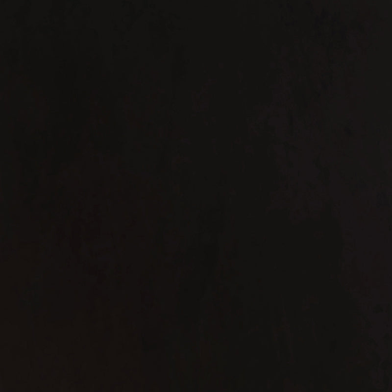 Alana Fabric Upholstered Dining Side Chair (Set of 2)