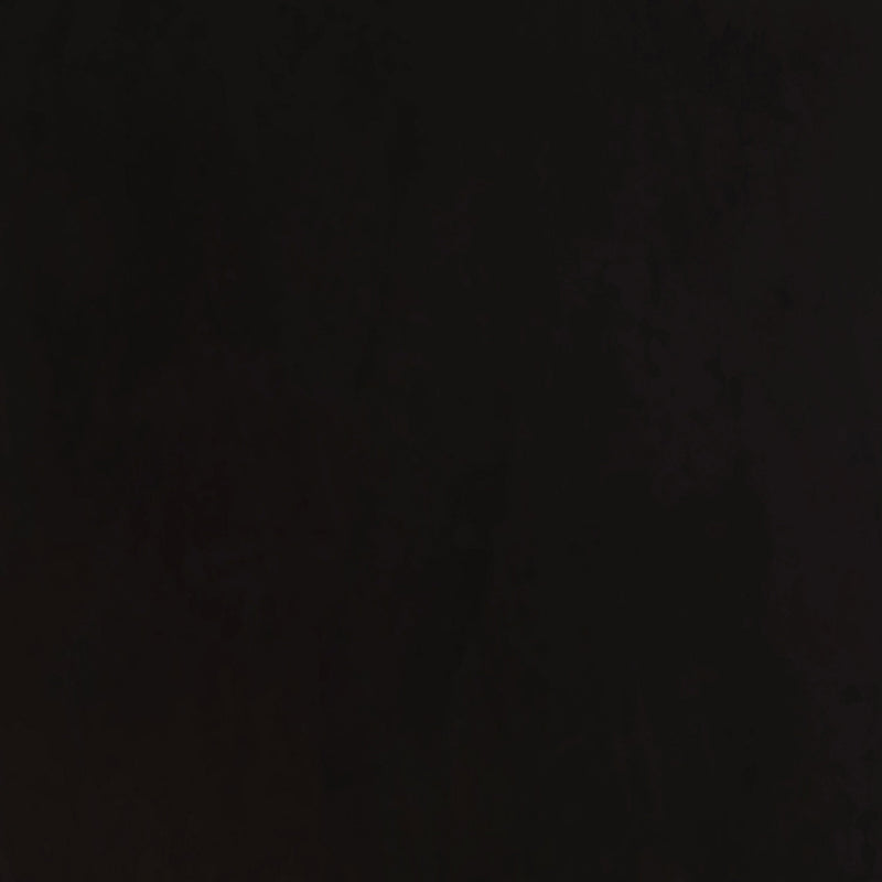 Alana Fabric Upholstered Dining Side Chair (Set of 2)