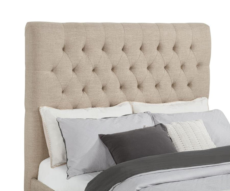 Chloe Upholstered Panel Bed