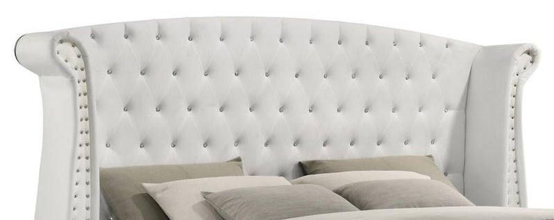 Barzini Beds