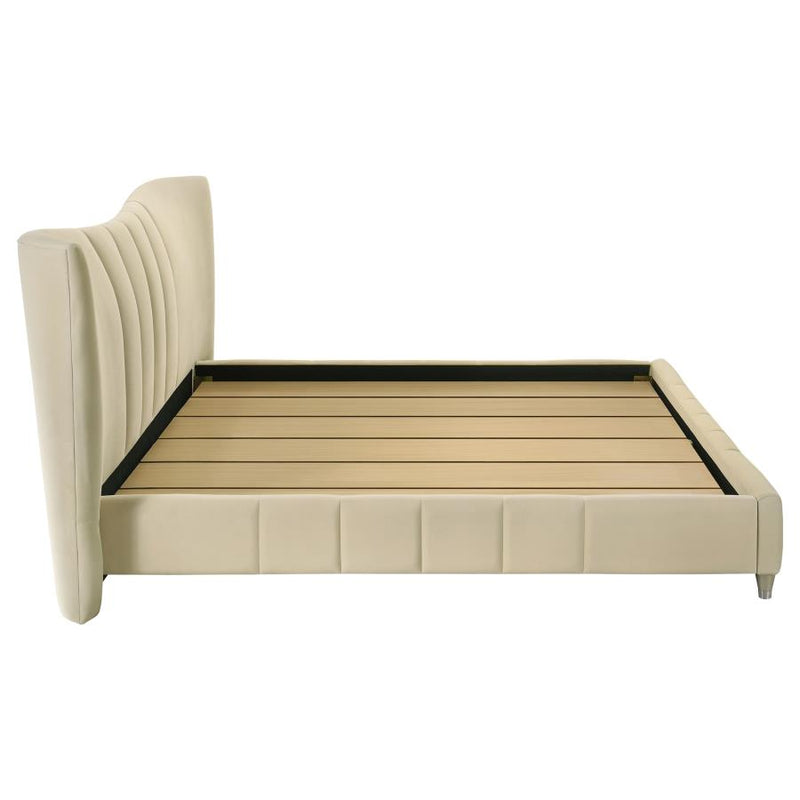 Evelyn Upholstered Panel Platform Bed