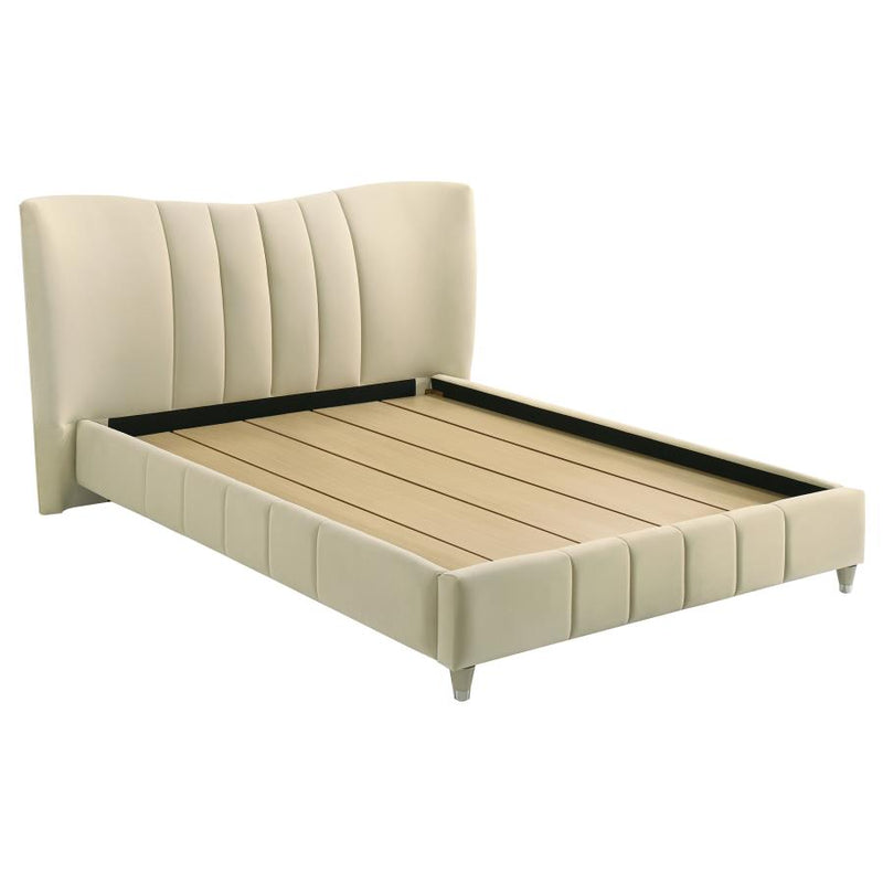 Evelyn Upholstered Panel Platform Bed