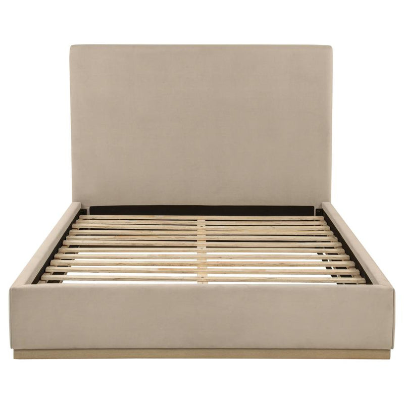 Knox Beds