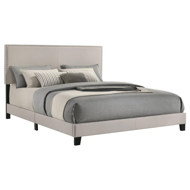 Boyd Upholstered Panel Bed