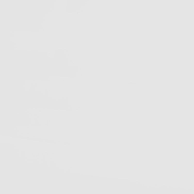 Frankie Wood Twin Over Twin Bunk Bed