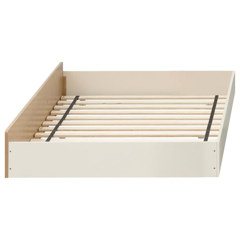 Evren Bunk Beds