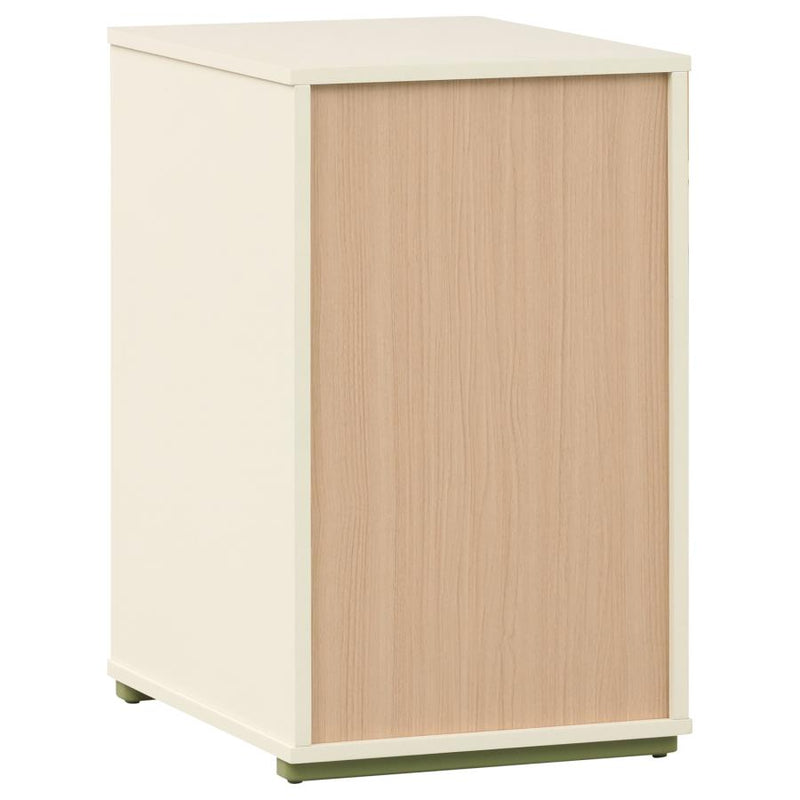 Evren Bookcases