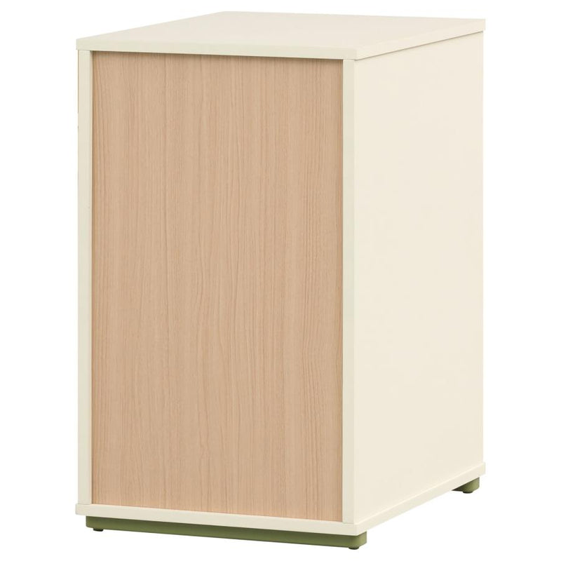 Evren Bookcases