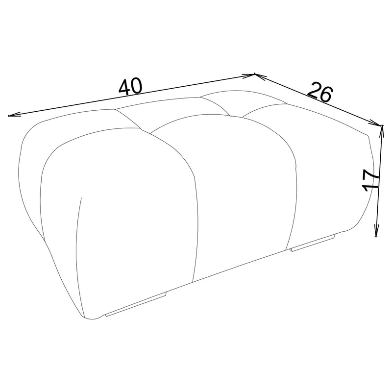 Camacho Rectangular Upholstered Tufted Ottoman