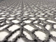 SIGNATURE Rug DESIGN 5204 Grey 5x8 (5'2x7'5")"