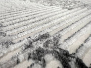 SIGNATURE Rug DESIGN 5209