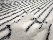 SIGNATURE Rug DESIGN 5210