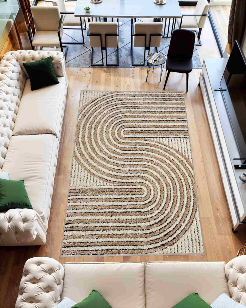 5D SHAGGY Rug Design 6421