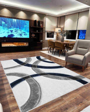 4D SHAGGY Rug Design 6491