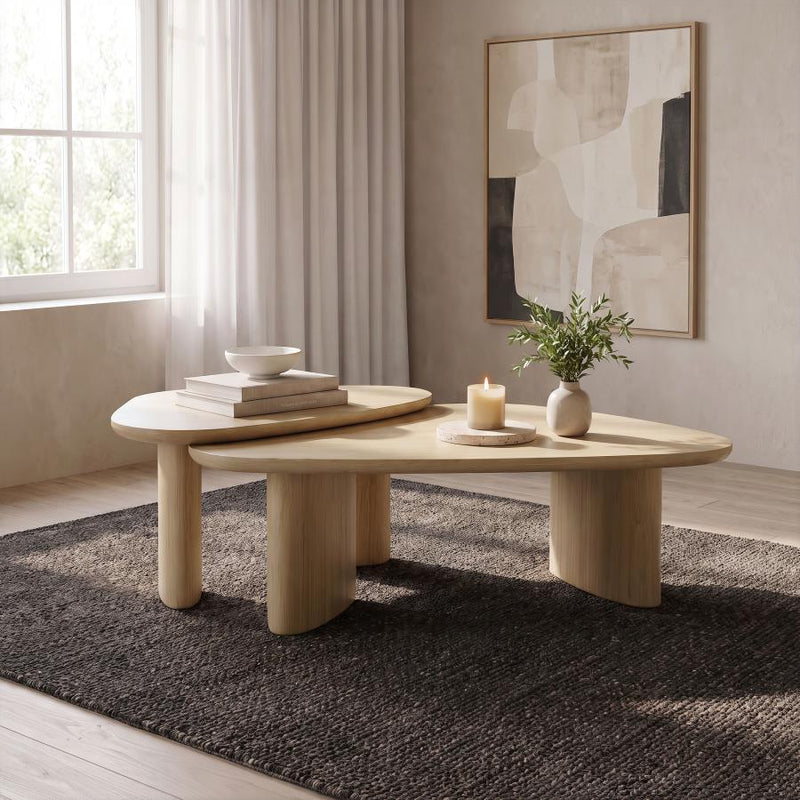 Arjona 2-Piece Triangular Nesting Coffee Table Set