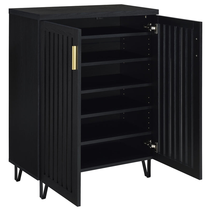 Brixton 2-door Entryway Shoe Storage Cabinets
