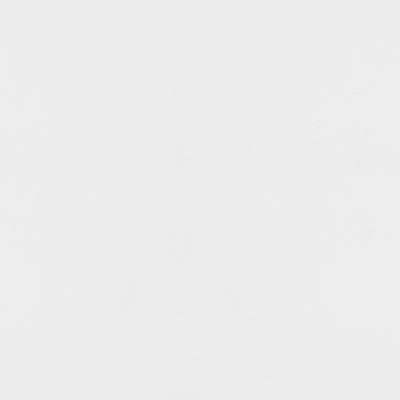 Elsa 2-door Wood Storage Accent Cabinet White and Gold