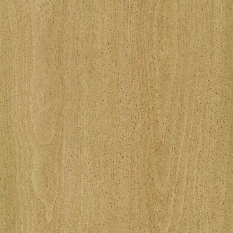 Mattison 4-Panel Room Divider Folding Shoji Screen