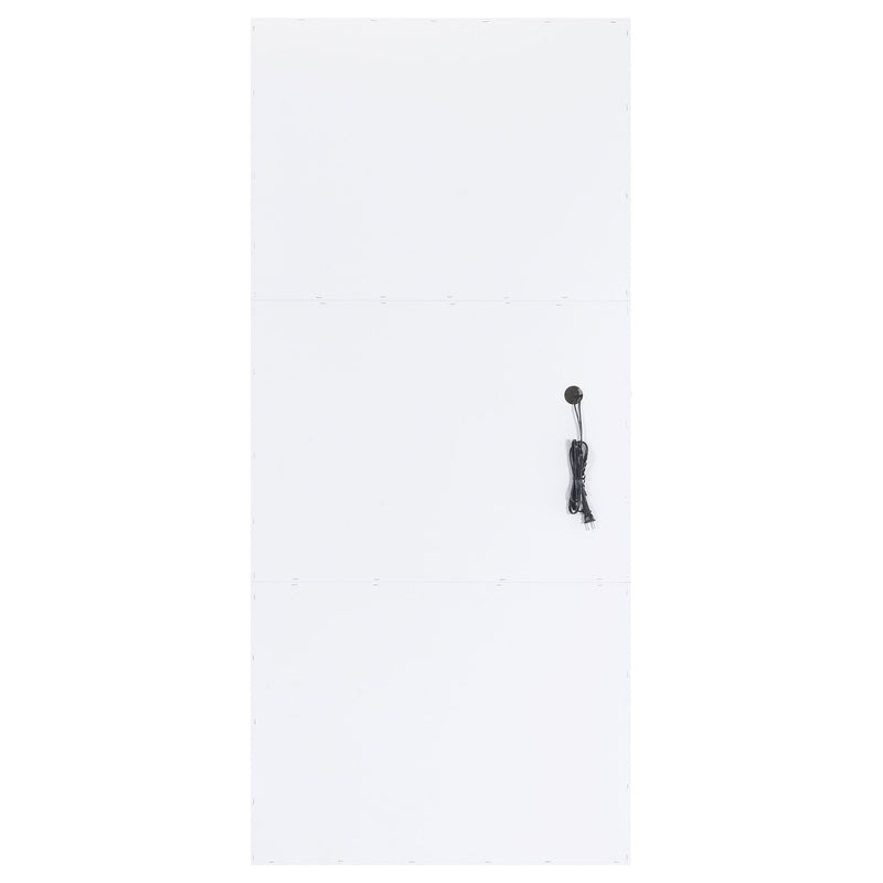 Zayan 32 x 71 Inch Floor Mirror LED ing Gloss