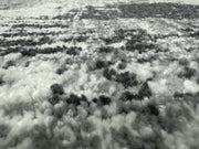 ELEGANCE RUG DESIGN 9904