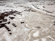 JERICHO Rug DESIGN 9955