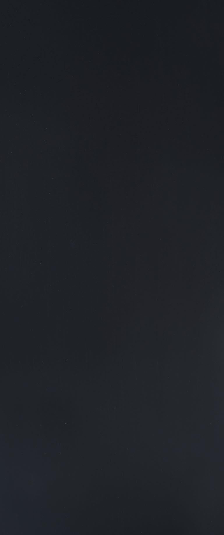 Carlotta Black Finish Bunk Bed Youth Collection