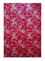 TIMMY-S SHAGGY Rug  TD3396-B2-RED+SILVER