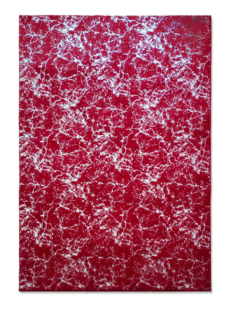 TIMMY-S SHAGGY Rug  TD3396-B2-RED+SILVER
