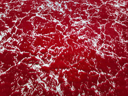 TIMMY-S SHAGGY Rug  TD3396-B2-RED+SILVER Red 5x8 (5'2x7'5")"