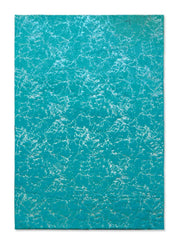 TIMMY-S SHAGGY Rug TD3396-B7-TEAL+SILVER Turquoise 5x8 (5'2x7'5")"